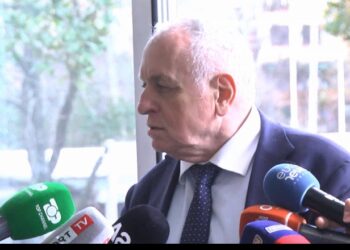 Reagon ashpër ish ministri i shëndetësisë: “Shqipëria, fermë ndërkombëtare uterusesh”