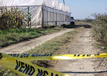 Sera me kanabis, Gjykata lë në burg 6 të arrestuarit