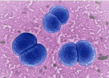 SHBA, ekspertët në alarm për infeksionin e rrallë