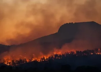 Përfshihet nga flakët pylli në Pogradec, çfarë dyshohet