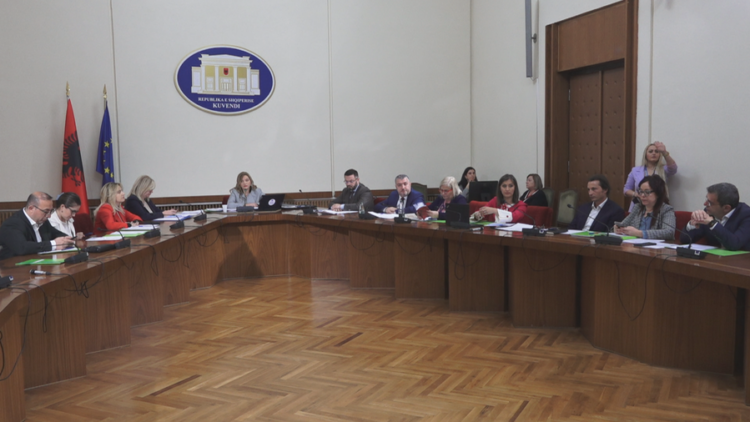 Përplasje në komisionin për koncesionet në Shëndetësi, ç’ndodhi në seancë