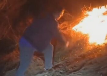 Përfshihen nga flakët pyjet e fshatit Niçë në Pogradec