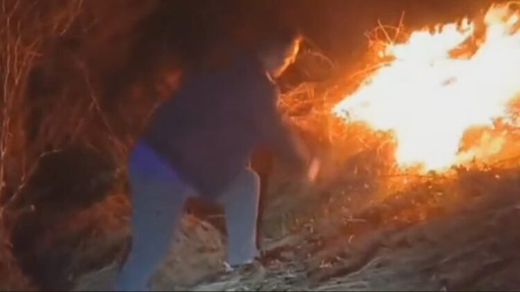 Përfshihen nga flakët pyjet e fshatit Niçë në Pogradec