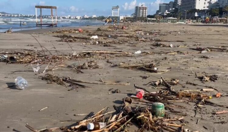 Bregdeti i Durrësit “mbulohet” nga plehrat!