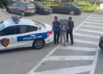 Lushnje, 63-vjeçari tenton të godasë gjykatësen që nuk i dha pronën