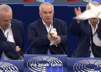 VIDEO – Eurodeputeti nxjerr nga çanta pëllumbin dhe e lëshon në PE