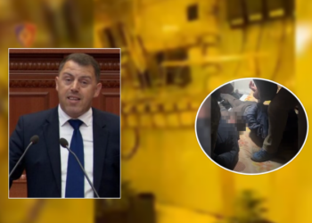 (VIDEO) “Stani i barit” në pyjet e Lezhës, arrestohet vëllai i deputetit socialist