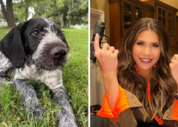 Guvernatorja e Trump, qëllon për vdekje qenin e saj, nuk pendohet pse e beri