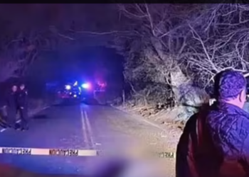 Aksident i pabesueshëm/ Makina përplaset me aligatorin, vdesin tre të rinj