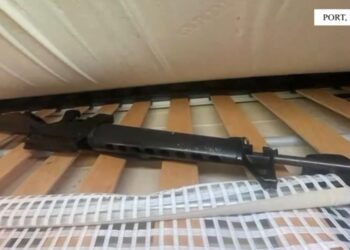 Tentoi të trafikonte armë zjarri, arrestohet në Durrës shtetasi italian