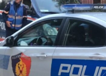 Dëmtim i mjedisit, Policia e Vlorës procedon penalisht disa persona