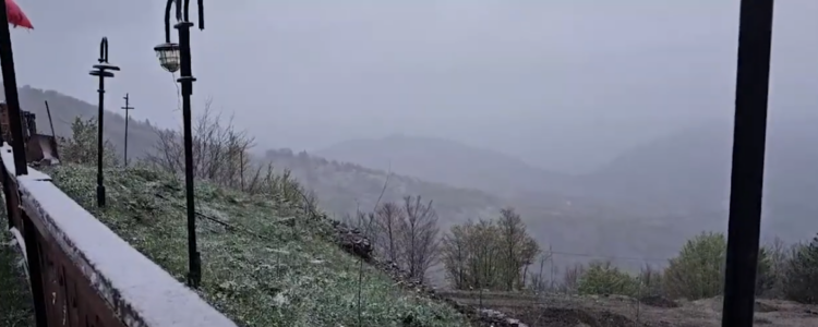 Ulen temperaturat në vend, nisin reshjet e borës në Dardhë