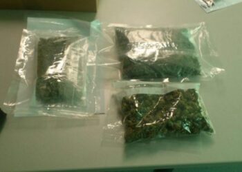 Ju gjenden 10kg lëndë narkotike, arrestohen dy persona