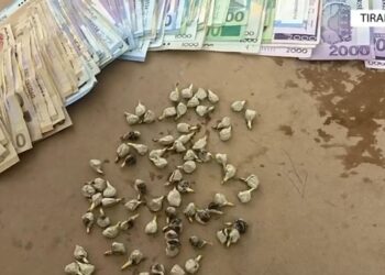 “Final 4” edhe në kampionatin për vajza, ja si do të funksionojë skema