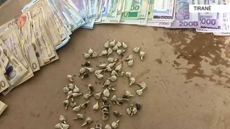 “Final 4” edhe në kampionatin për vajza, ja si do të funksionojë skema