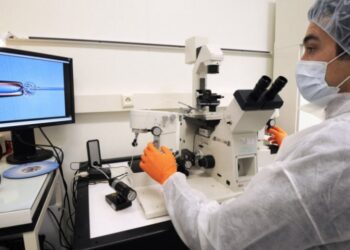 Shkencëtarët portugezë krijojnë aksidentalisht gjitarin me 6 këmbë