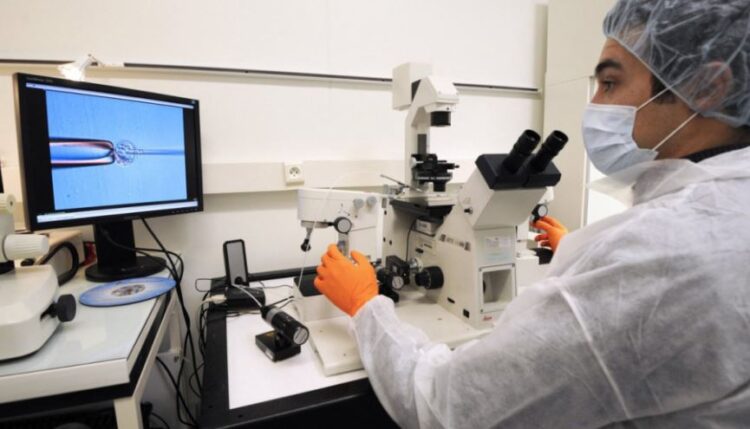 Shkencëtarët portugezë krijojnë aksidentalisht gjitarin me 6 këmbë