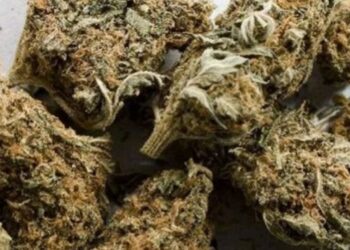 Kapet sasi e madhi hashashi, në pranga greku dhe 40-vjeçarja shqiptare