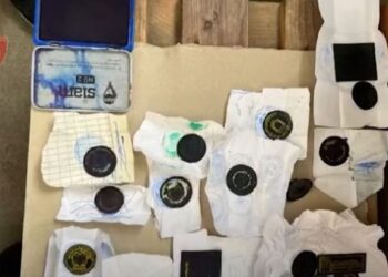 Detaje të reja nga laboratoriti flasifikimit, i shisnin dokumentat për përfitim të shtetësive të huaja