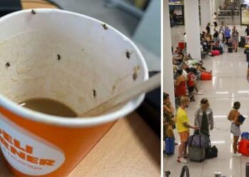 Piu kafen e mbushur me insekte në aeroport, vajza lufton për jetën në spital