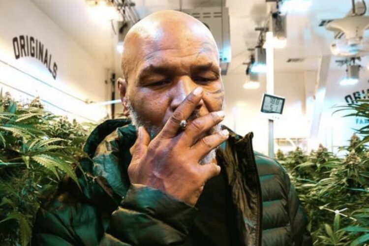 Legjenda e boksit, përgatitje ekstreme: Kam gjashtë javë pa seks dhe marihuanë