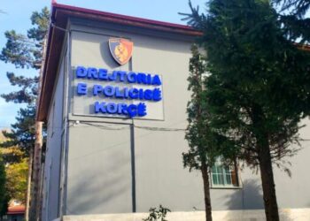 Njëri rreh kunatën, tjetri vëllanë, procedohen dy shtetas në Korçë