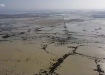 Përmbytjet në Iran, autoritetet paralajmërojnë rrezikun e krokodilëve