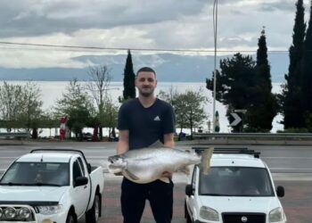 Pogradec, kapet peshku koran mbi 13kg /FOTO