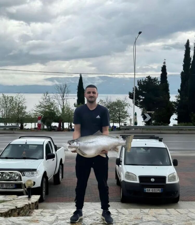 Pogradec, kapet peshku koran mbi 13kg /FOTO