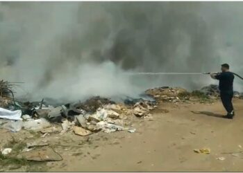 Merr flakë vendgrumbullimi i plehrave në Patos