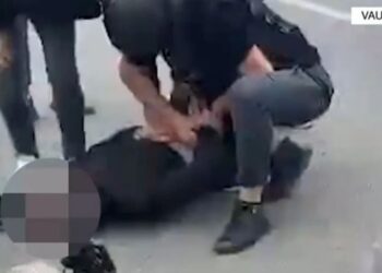 Kapet në flagrancë me afro 2000 fara kanabisi, arrestohet 47 vjeçari