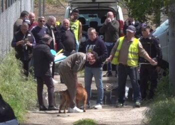 E rëndë, fëmija 1 vjeç sulmohet për vdekje nga dy qen pitbullë