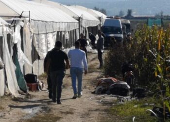 Serat me kanabis në Berat, Hetimet: Rolet e të arrestuarve