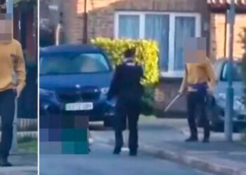 Sulm me shpatë në Londër, çfarë po ndodh?/VIDEO