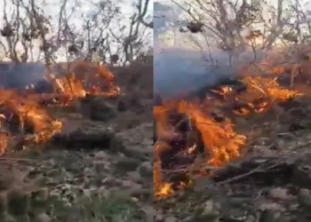 Zjarr në Maliq, era favorizon përhapjen e flakëve