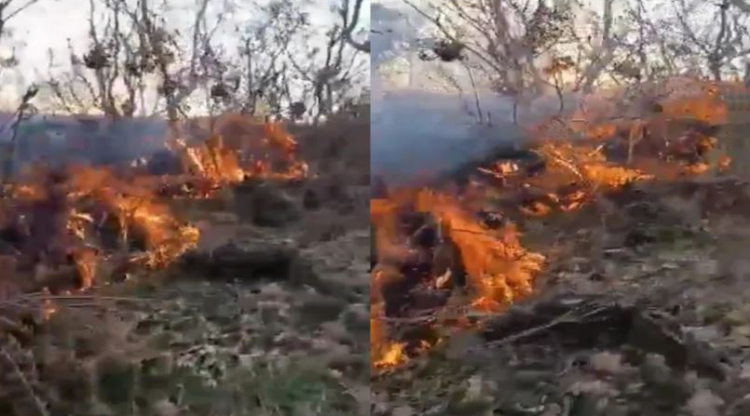 Zjarr në Maliq, era favorizon përhapjen e flakëve