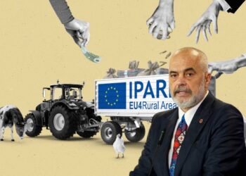 BE jep mln € fonde/ Fermerët shqiptarë nuk marrin asnjë “kacidhe”, ku shkojnë paratë