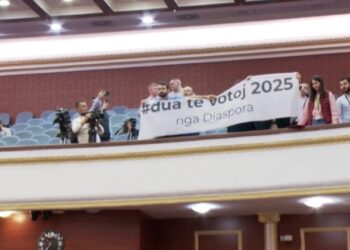 “Dua të votoj në 2025”, përfaqësues të diasporës hyjnë në seancën plenare. Garda i nxjerr jashtë