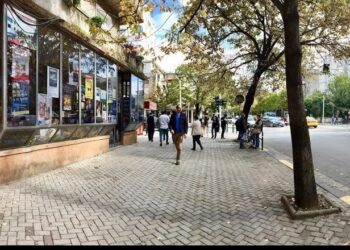 Akuzohet se falsifikoi 5 vepra të Kadaresë, nën hetim pronarja e “Librit Universitar” në Tiranë