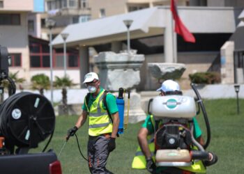 Nis procesi i dezinsektimit, Tomini: Minimizojmë mushkonjat, parandalojmë sëmundjet