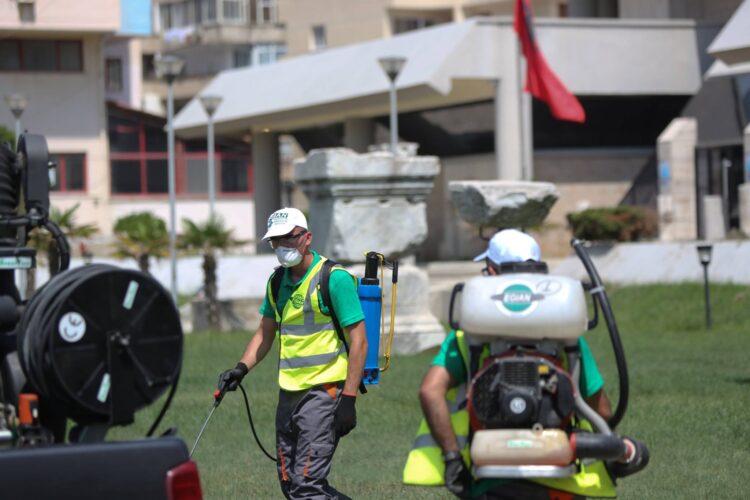 Nis procesi i dezinsektimit, Tomini: Minimizojmë mushkonjat, parandalojmë sëmundjet