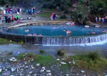 Too much shit my friend