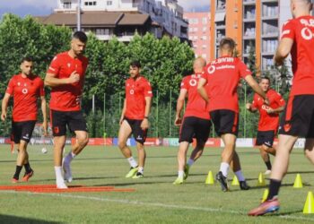 Kombëtarja niset drejt Austrisë, ja programi para Europianit