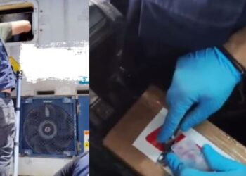 Greqi/ Drogë e fshehur në banane, kapen 46 kg kokainë me vlerë 2 mln euro