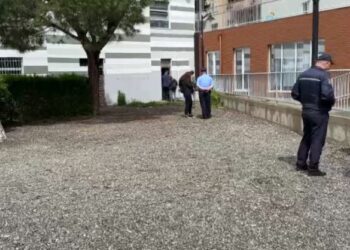 Gjendet e pajetë një grua në Lezhë, detajet e para