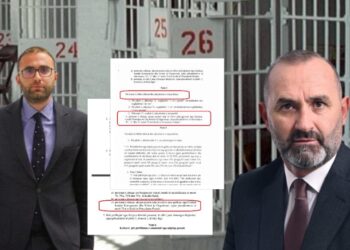 Amnistia/ Ja si fitojnë zyrtarët e korruptuar. Manja-Bardhi mashtruan ndërkombëtarët