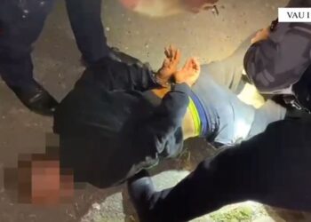 Arrestohet i riu, i gjenden 1 mijë fara kanabisi për shitje