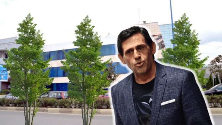 “Pemët dekorative” të Rakip Sulit 18 cm të larta! Tenderin 83 MLN lekë ia fal ish-drejtorit të AZHBR-së 