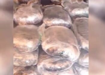 Mbi 50 kg drogë në makinë, kapet në kufirin me Maqedoninë e Veriut 46-vjeçari