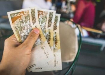 20% e të punësuarve në privat, me paga minimale